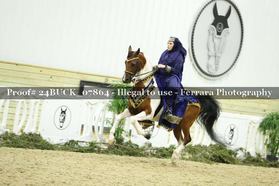 Proof 24BUCK_07864