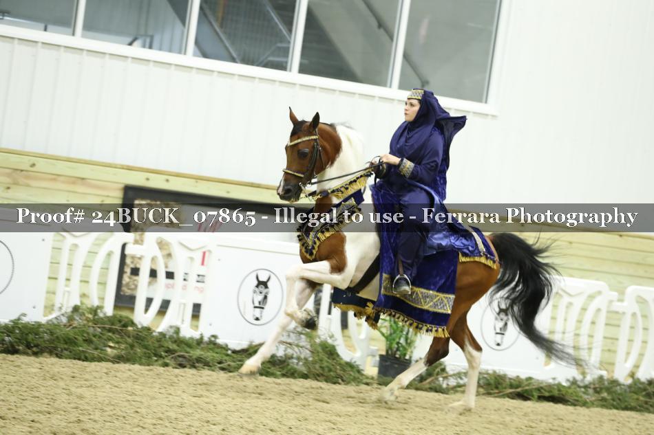 Proof 24BUCK_07865