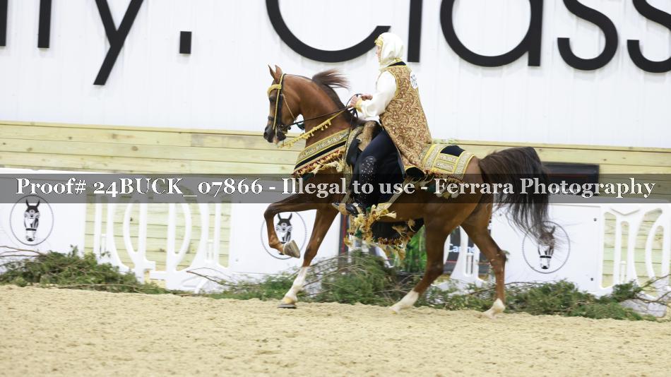 Proof 24BUCK_07866