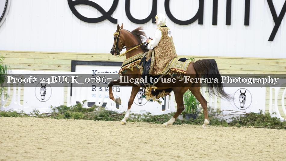 Proof 24BUCK_07867