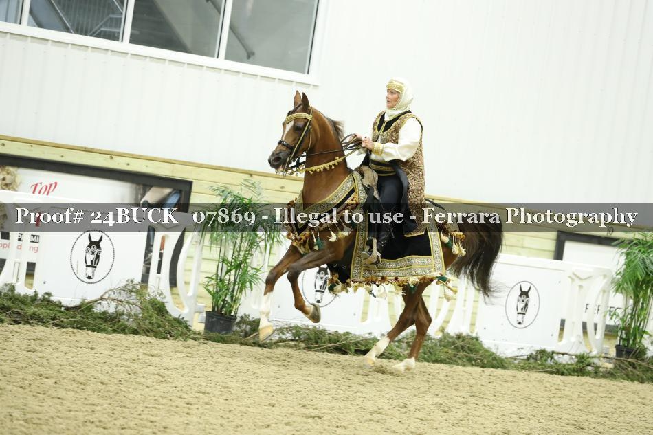 Proof 24BUCK_07869