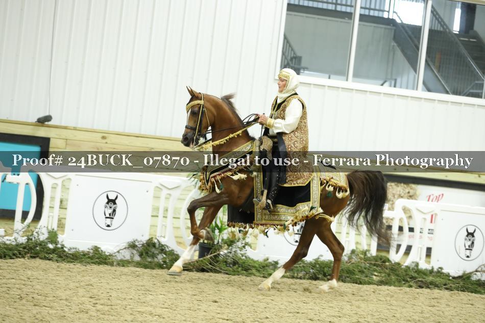 Proof 24BUCK_07870
