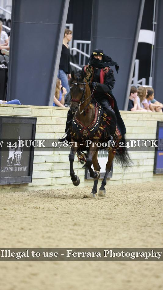 Proof 24BUCK_07871