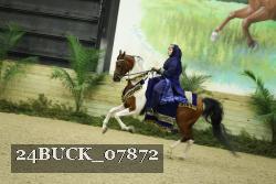 24BUCK_07872 proof