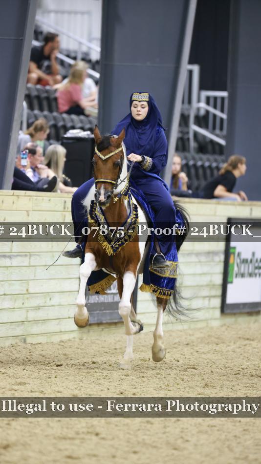 Proof 24BUCK_07875