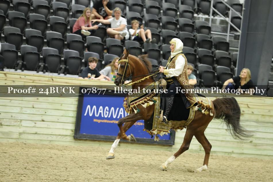 Proof 24BUCK_07877