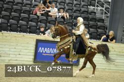 24BUCK_07877 proof