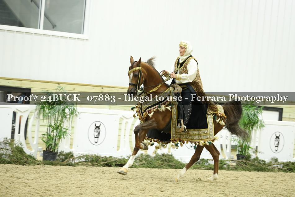 Proof 24BUCK_07883