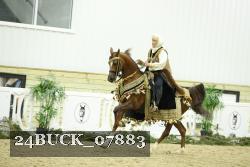 24BUCK_07883 proof
