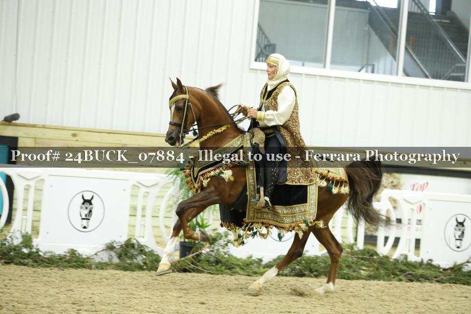 Proof 24BUCK_07884