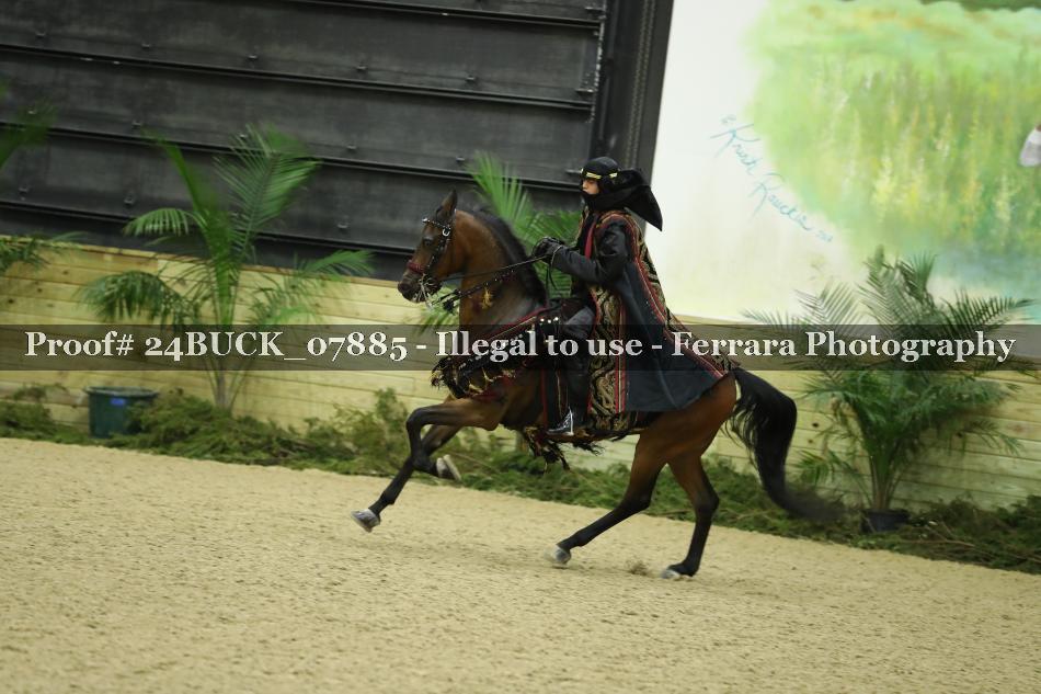 Proof 24BUCK_07885