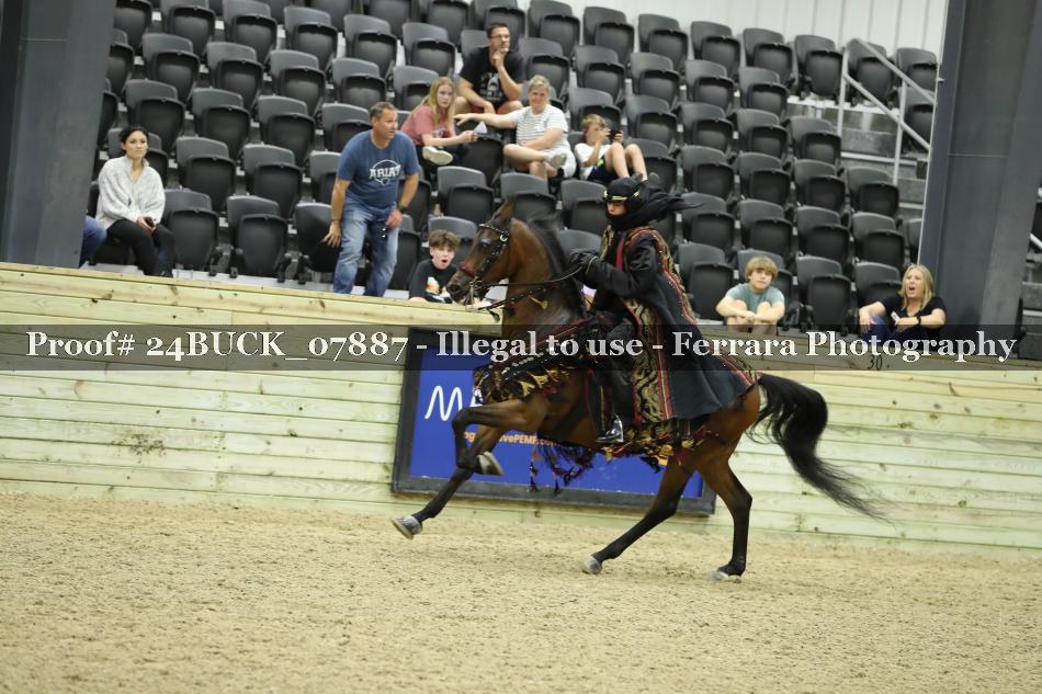 Proof 24BUCK_07887