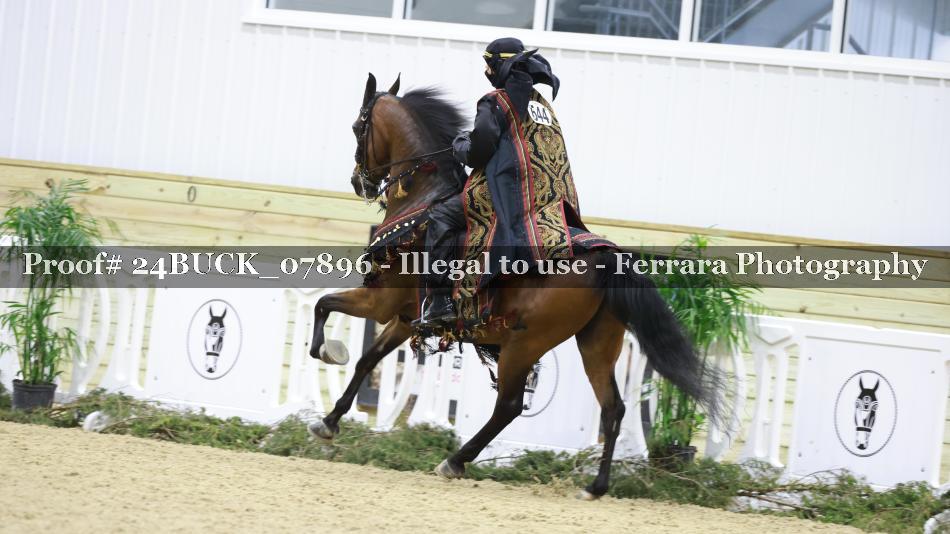 Proof 24BUCK_07896