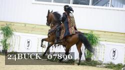 24BUCK_07896 proof