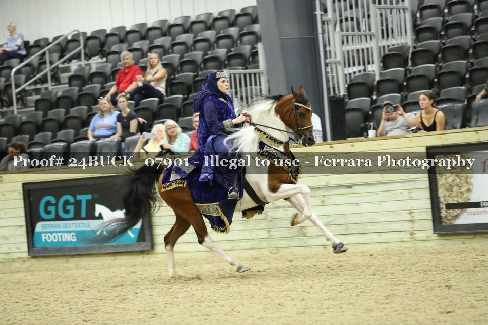 Proof 24BUCK_07901