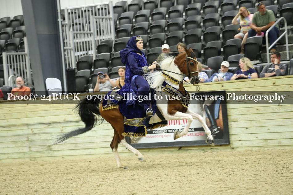 Proof 24BUCK_07902