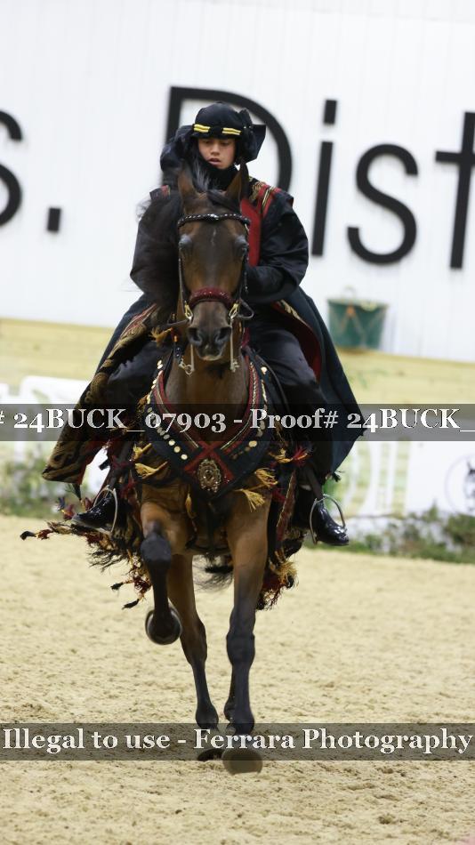 Proof 24BUCK_07903