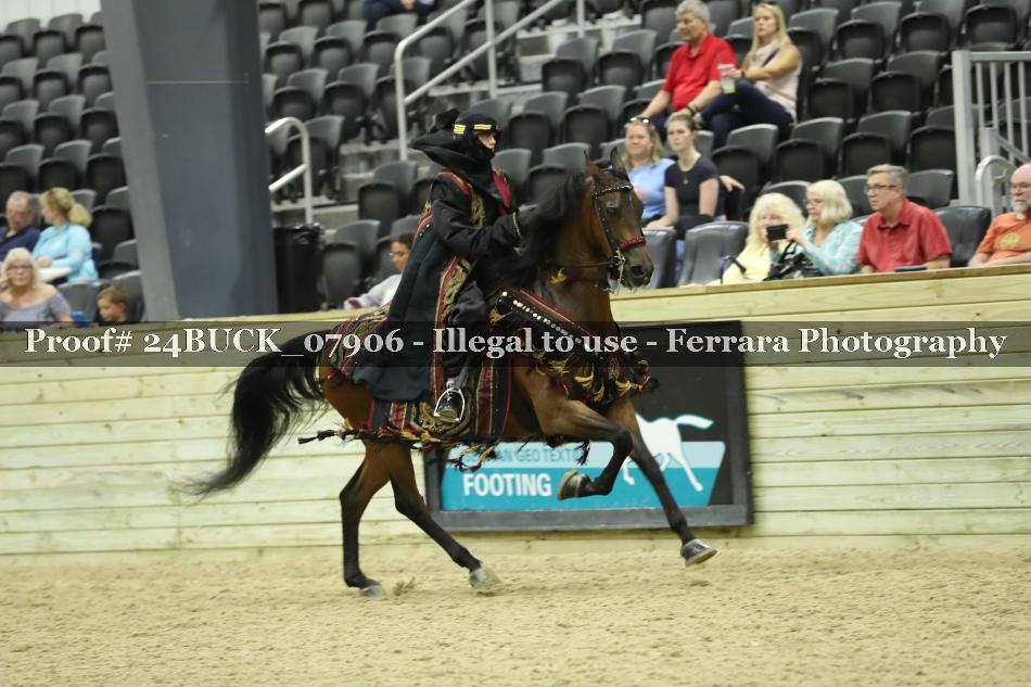 Proof 24BUCK_07906