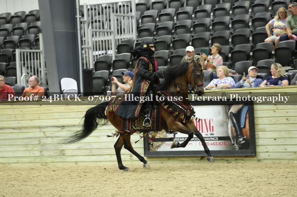 Proof 24BUCK_07907