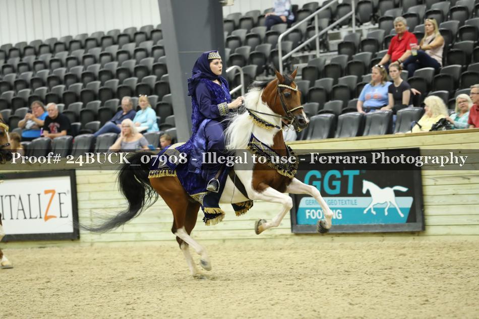 Proof 24BUCK_07908