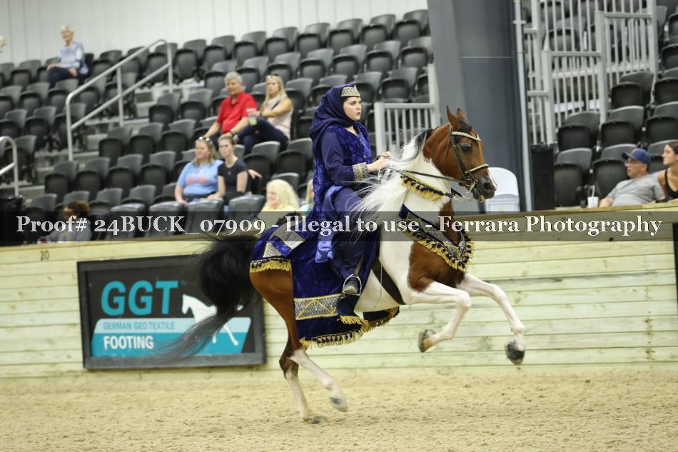 Proof 24BUCK_07909