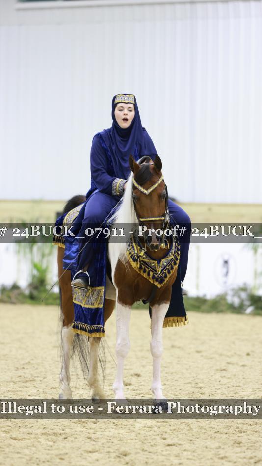 Proof 24BUCK_07911