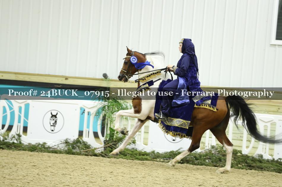 Proof 24BUCK_07915