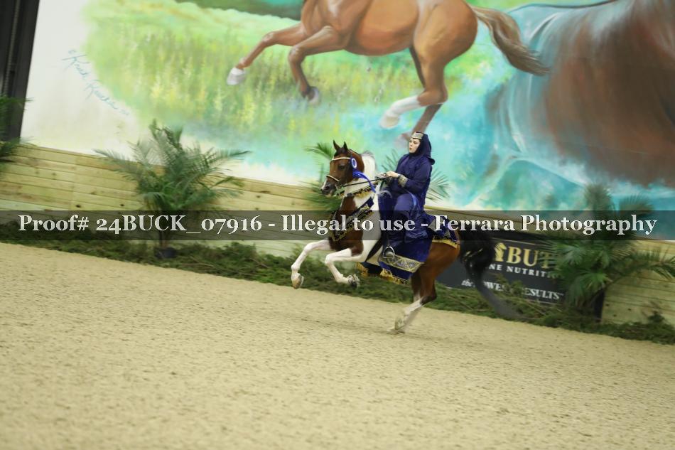 Proof 24BUCK_07916