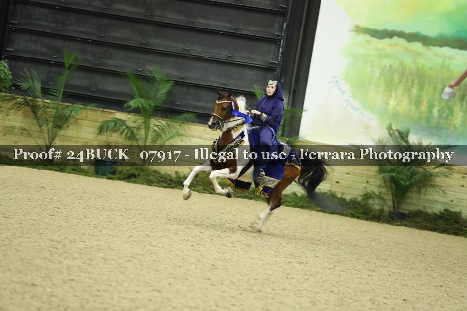 Proof 24BUCK_07917