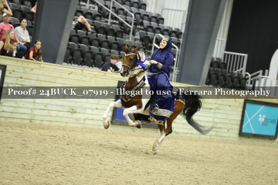 Proof 24BUCK_07919
