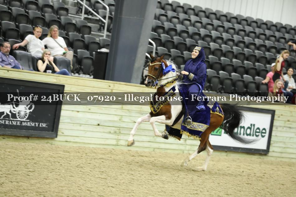 Proof 24BUCK_07920