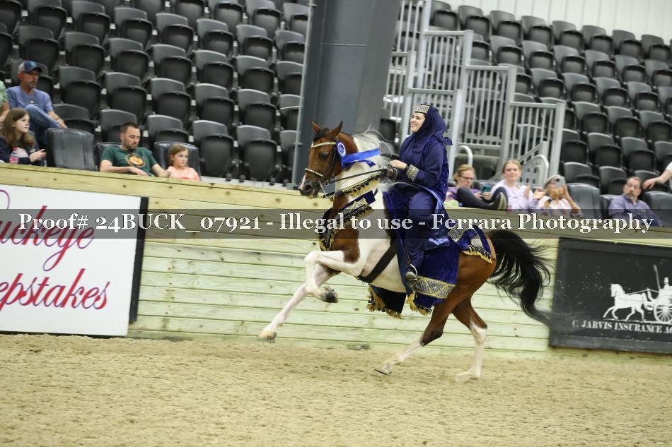 Proof 24BUCK_07921