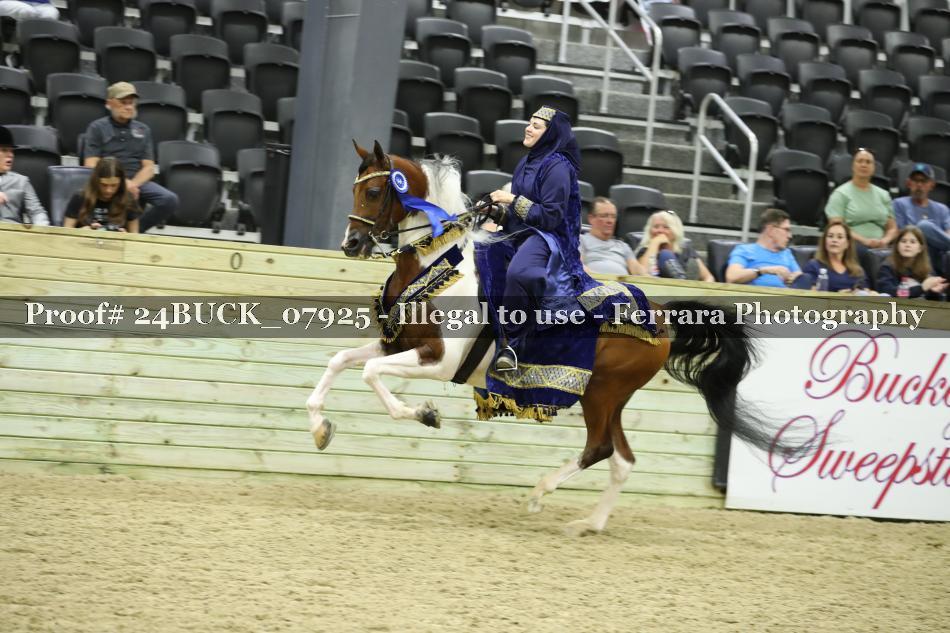 Proof 24BUCK_07925