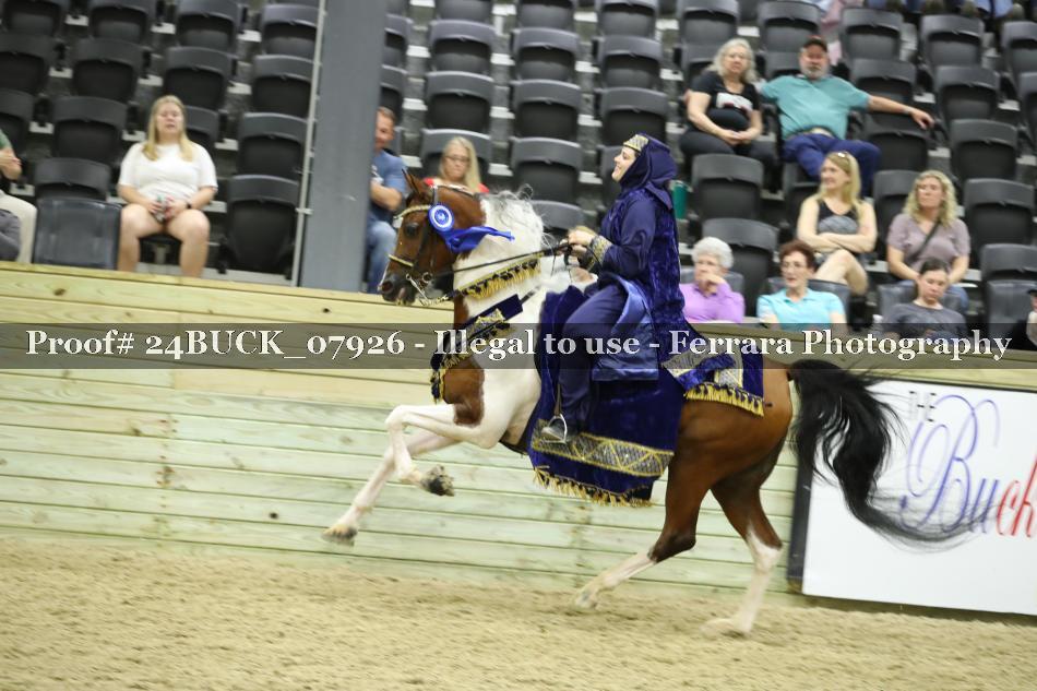 Proof 24BUCK_07926