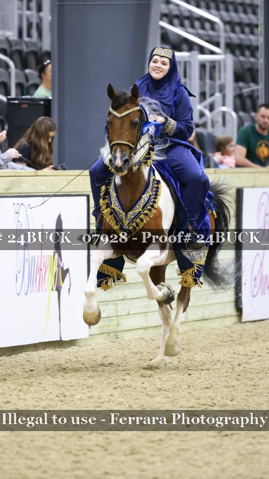 Proof 24BUCK_07928