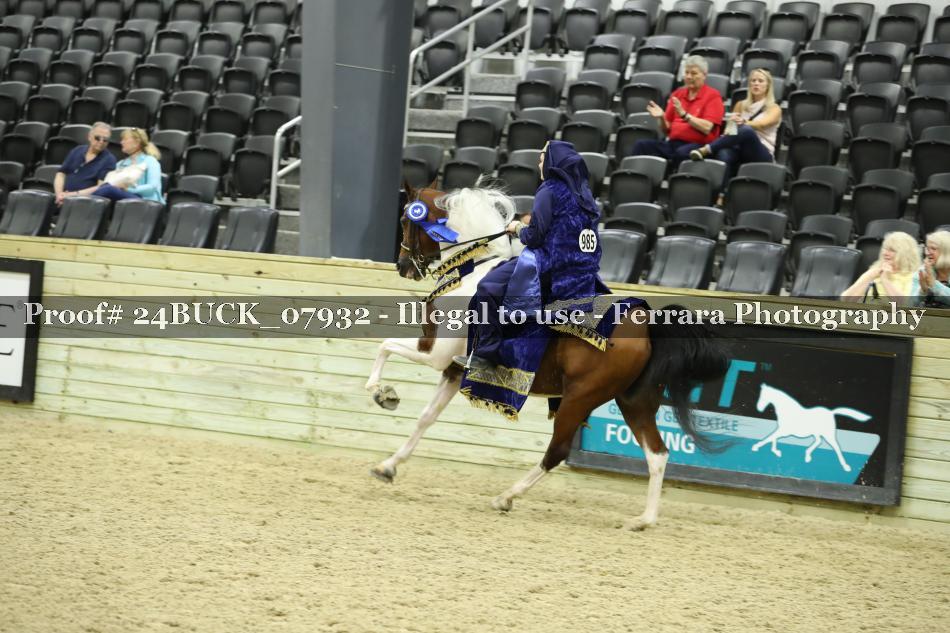 Proof 24BUCK_07932