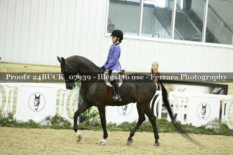 Proof 24BUCK_07939