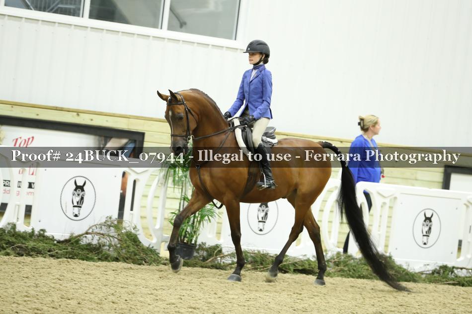 Proof 24BUCK_07944