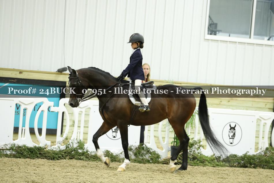 Proof 24BUCK_07951