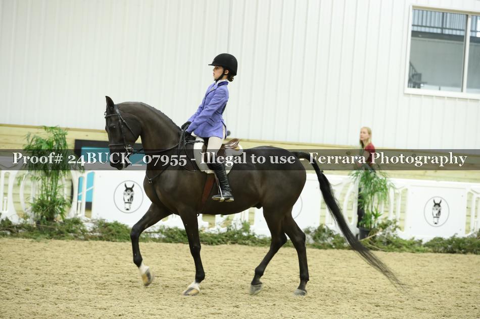 Proof 24BUCK_07955