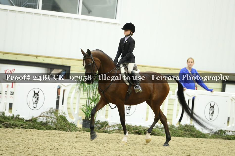 Proof 24BUCK_07958