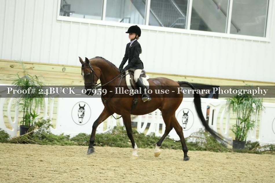 Proof 24BUCK_07959