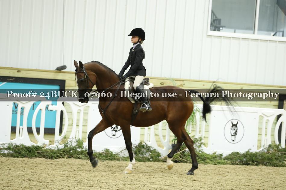 Proof 24BUCK_07960