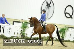24BUCK_07961 proof