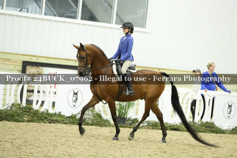 Proof 24BUCK_07962