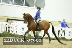 24BUCK_07962 proof
