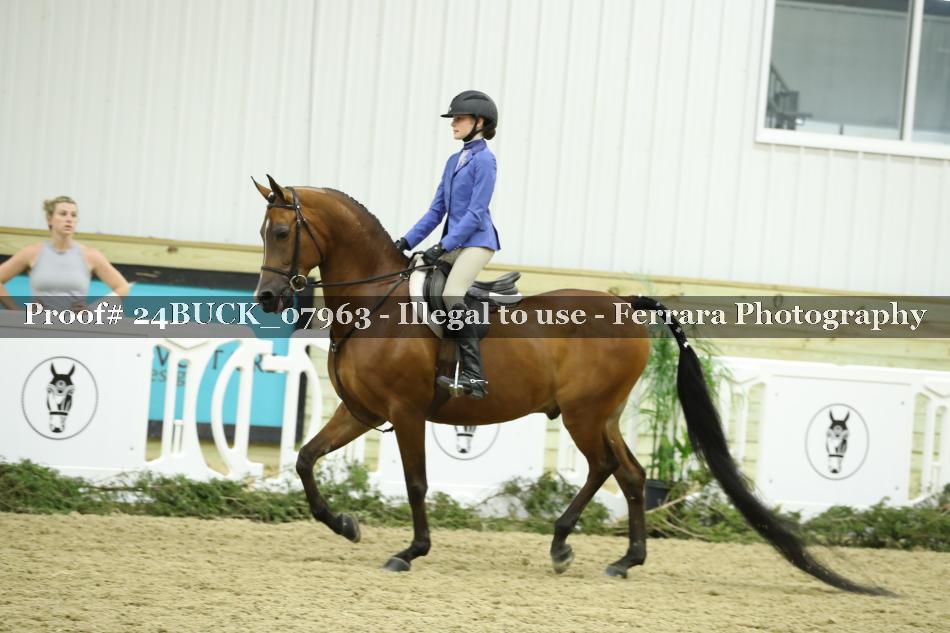 Proof 24BUCK_07963