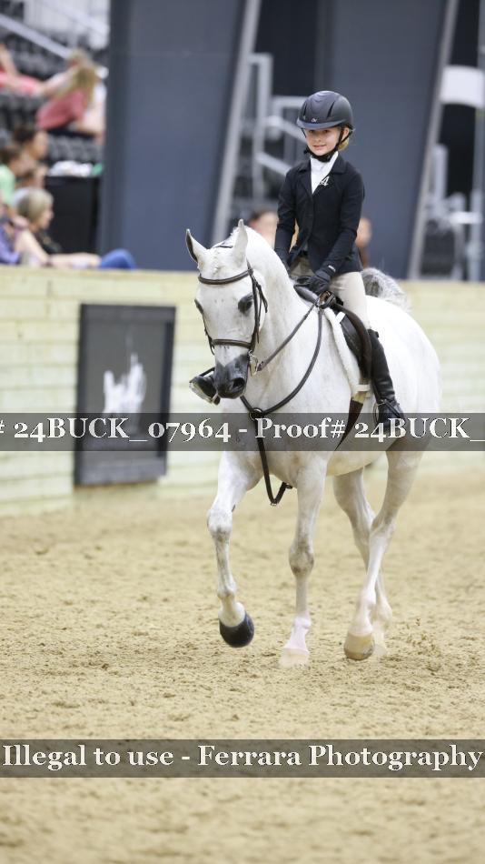 Proof 24BUCK_07964