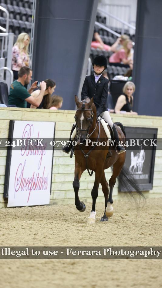 Proof 24BUCK_07970