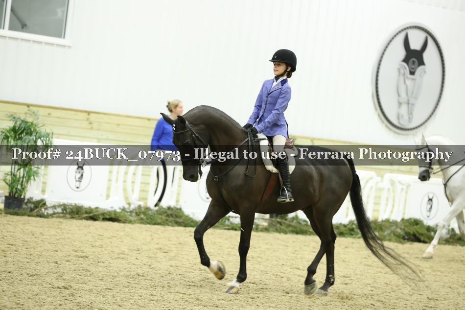 Proof 24BUCK_07973